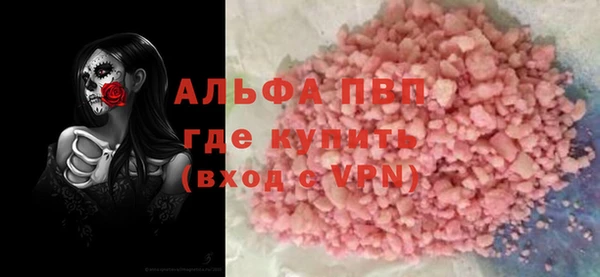 ГАЛЛЮЦИНОГЕННЫЕ ГРИБЫ Бородино