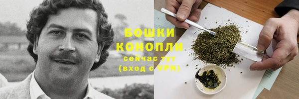 ГАЛЛЮЦИНОГЕННЫЕ ГРИБЫ Бородино