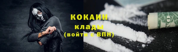 ГАЛЛЮЦИНОГЕННЫЕ ГРИБЫ Бородино