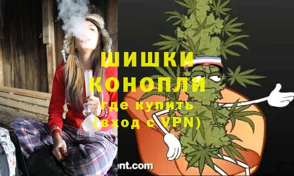ГАЛЛЮЦИНОГЕННЫЕ ГРИБЫ Бородино