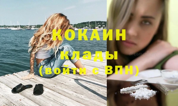 ешки Бронницы