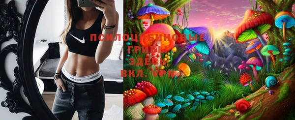 ГАЛЛЮЦИНОГЕННЫЕ ГРИБЫ Бородино