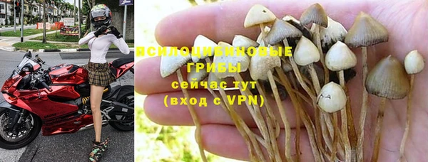 ГАЛЛЮЦИНОГЕННЫЕ ГРИБЫ Бородино