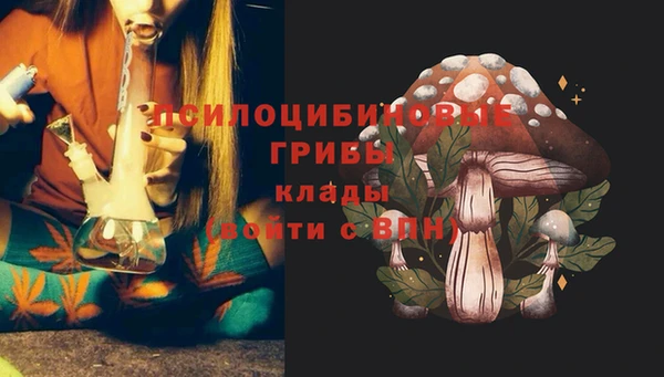 ешки Бронницы