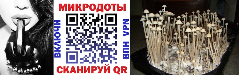 Купить  Обь  Псилоцибиновые грибы ЛСД 
