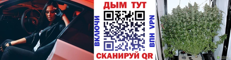 Каннабис OG Kush  Купить  Обь 